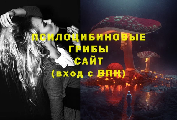 mix Богородицк