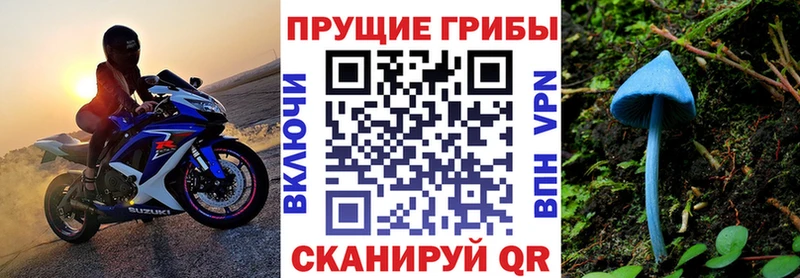 Галлюциногенные грибы Psilocybine cubensis  где найти   Мензелинск 